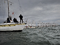 OPTIMIST2009