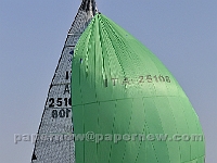 PGC5353