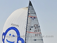 PGC5449